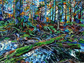 Quadro Catedrais da Natureza