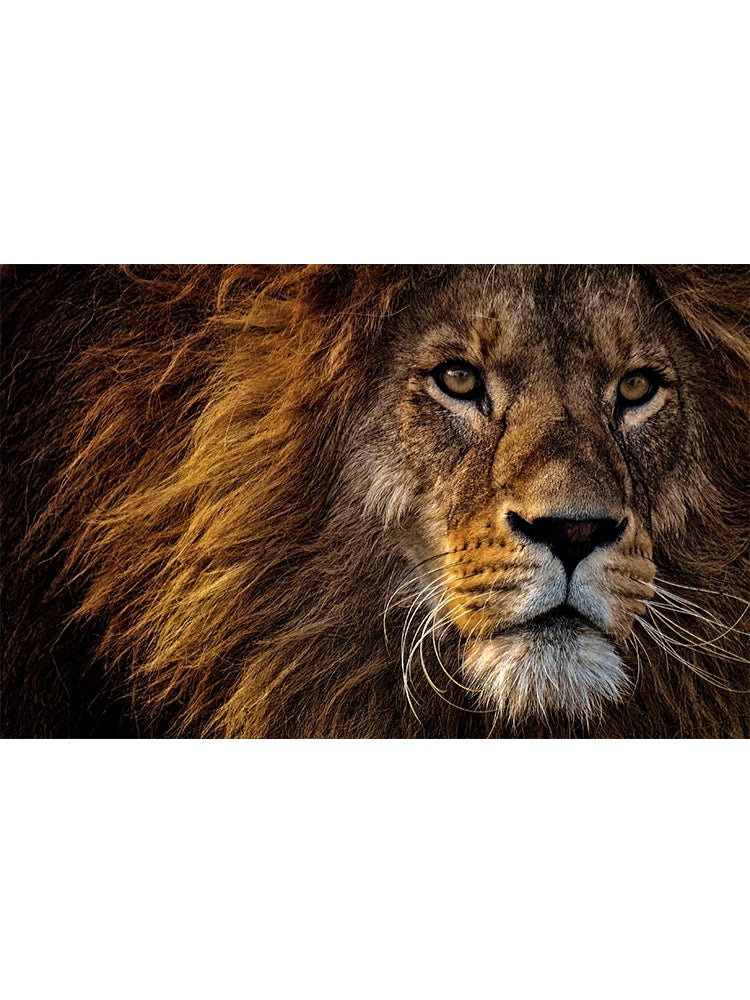 Quadro Guardiões da Savana