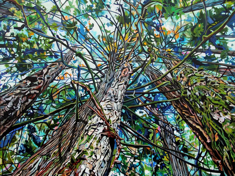 Quadro Catedrais da Natureza
