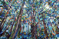 Quadro Catedrais da Natureza