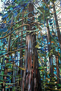 Quadro Catedrais da Natureza