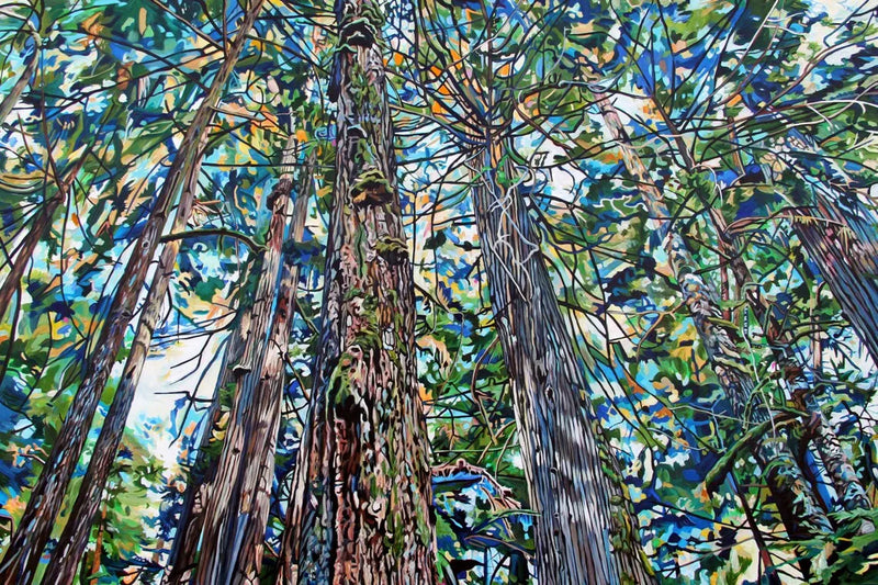 Quadro Catedrais da Natureza